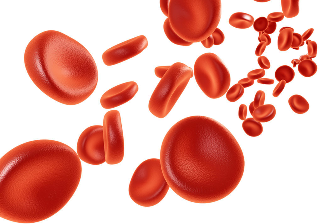 Уменьшение количества лейкоцитов в крови
