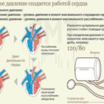 Показатели артериального давления