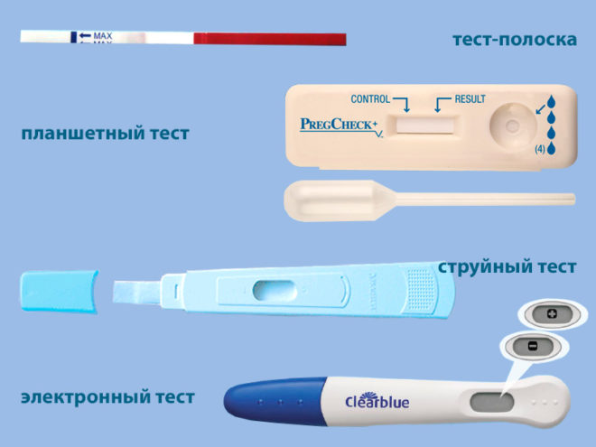 Чем отличаются разные тесты на беременность