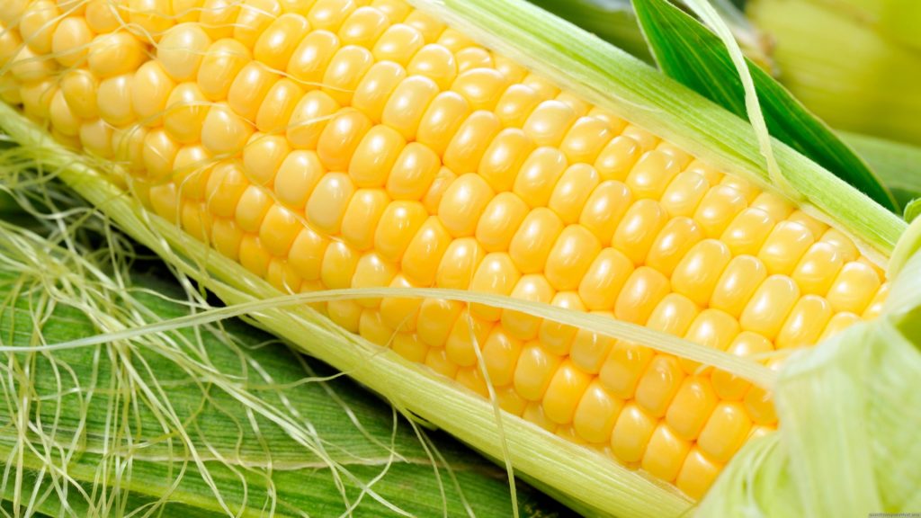 Можно ли кукурузу на кето-диете?