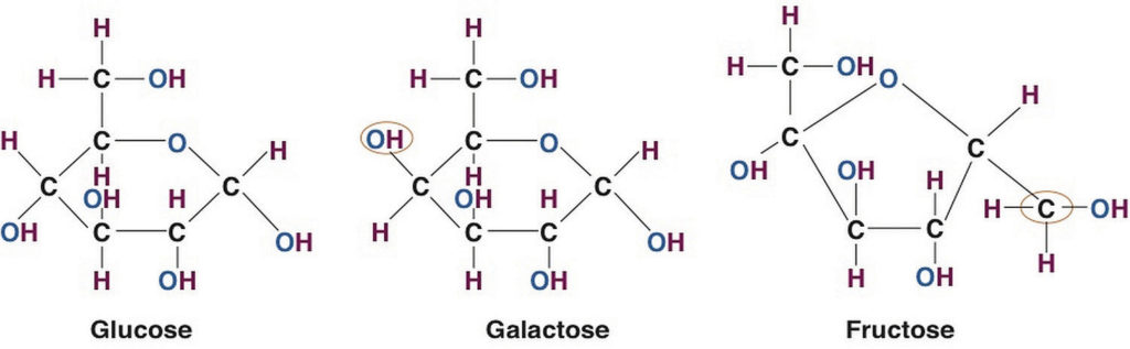 Глюкоза - галактоза