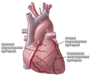 Как развивается болезнь сердца