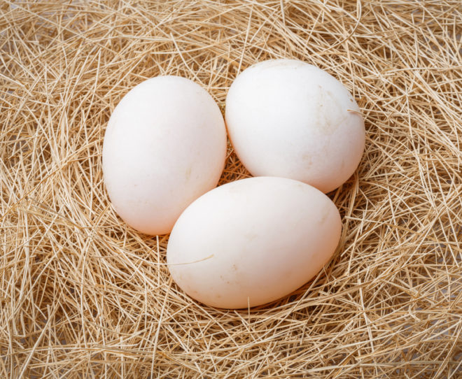 Почему снижается количество яйцеклеток