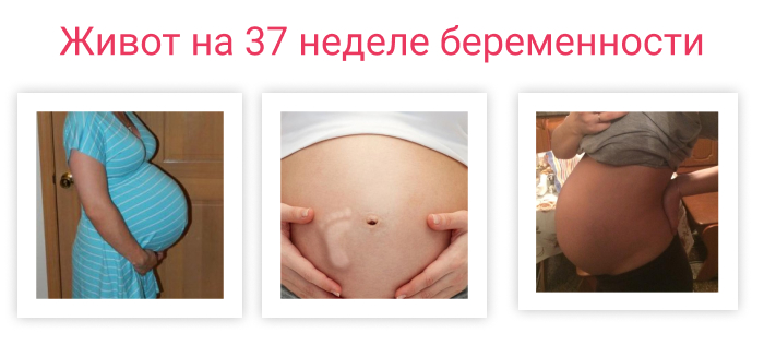 37 недель болит поясница. Живот при беременности. Живот неделя беременен. Живот внизу при беременности. Живот на 37 неделе беременности.